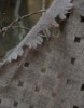 Picture of Waffle cashmere scarf