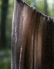 Εικόνα της Μακρυά σάρπα σε ombre τόνους