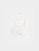 Picture of Button down collar shirt